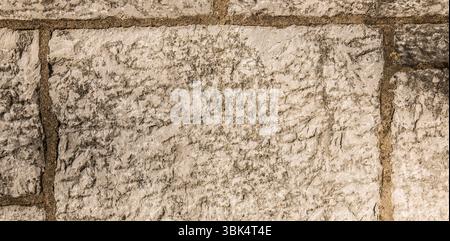 Le mur de maçonnerie en pierre montre la conception vectorielle texturée, avec des blocs clairs et une grille de mortier sombre Banque D'Images