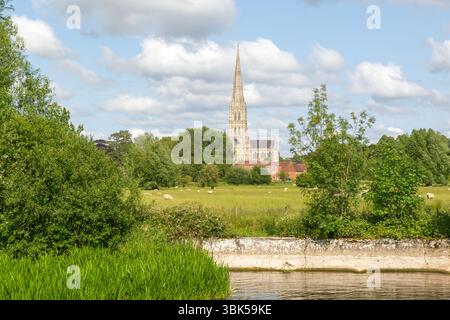 Vue de Harnham Lock sur des prairies d'eau à l'église de la cathédrale de Salisbury, Salisbury, Wiltshire, Angleterre, Royaume-Uni Banque D'Images