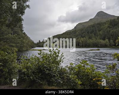 Vue depuis le chemin boisé autour de Glencoe Lochan jusqu'à Sgorr na Ciche, (le Pap de Glencoe), village de Glencoe, Lochaber, Highlands d'Écosse. Banque D'Images