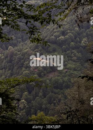 Village isolé avec des toits rouges et cimetière caché dans la forêt dense Banque D'Images