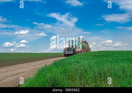 Vue en angle bas à travers le blé vert sur tracteur conduisant sur la route de campagne dans le champ de printemps. Ciel dramatique en arrière-plan Banque D'Images