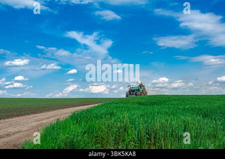 Tracteur roulant sur route de campagne au printemps dans les champs. Ciel bleu en arrière-plan. Vue en angle bas à travers le blé vert. Travaux au champ à ressort Banque D'Images