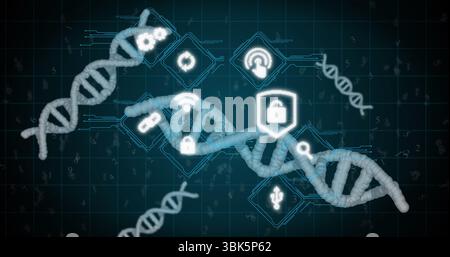 Grand modèle d'hélice ADN blanc flottant dans la grille de circuit numérique, avec des icônes de cybersécurité brillantes Banque D'Images