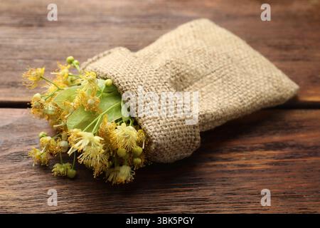 Branches avec des fleurs de tilleul et des feuilles vertes dans le sac sur la table en bois, gros plan Banque D'Images