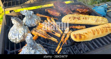 brochettes de viande grillée et de crevettes avec baguettes sur le grill dans le jardin Banque D'Images