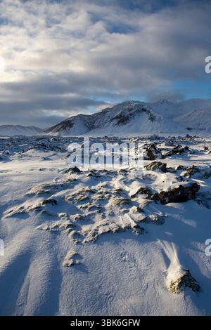 Champ de lave de Berserkjahraun, péninsule de Snæfellsnes, Islande Banque D'Images