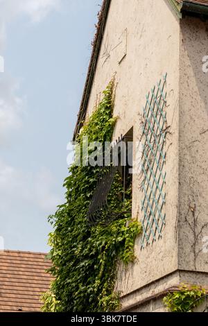 Plan à angle bas d'un mur couvert de lierre avec fenêtre, grille métallique, treillis bleu et texture stuc contre un ciel nuageux à Giverny, France. Banque D'Images