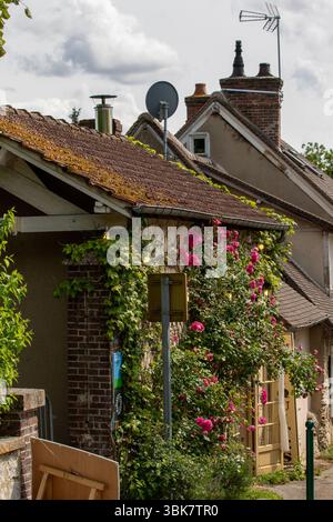 Plan extérieur d'un bâtiment avec des murs de briques et de pierres, recouvert de lierre et de roses roses. Les toits ont des tuiles brunes, et diverses antennes peuvent être vues Banque D'Images