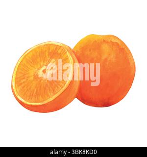 Aquarelle orange entier et demi-illustration de fruits sucrés isolé sur fond blanc, idéal pour les cartes, les bannières de marché, les en-têtes ou décorer votre art. Illustration de Vecteur