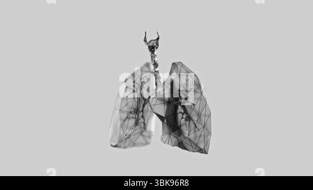 rendu 3d des poumons poly-bas sur fond blanc. Poumons humains filaires. illustration 3d. Banque D'Images