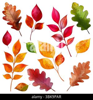 Chêne coloré d'automne, hêtre, feuilles de frêne ensemble. Illustration vectorielle dessinée à la main à l'aquarelle. Automne saisonnier vintage imprimé éléments de conception florale pour les bannières, Illustration de Vecteur