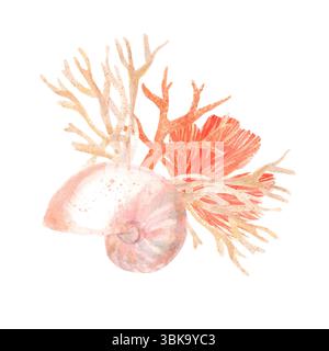 Composition délicate d'aquarelle avec coquille et coraux Banque D'Images