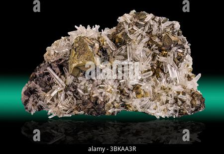 Ce spécimen minéral frappant présente des cristaux de chalcopyrite métalliques dorés dispersés à travers une matrice de quartz transparent à laiteux. Banque D'Images