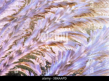 Motif givré sur la vitre Banque D'Images