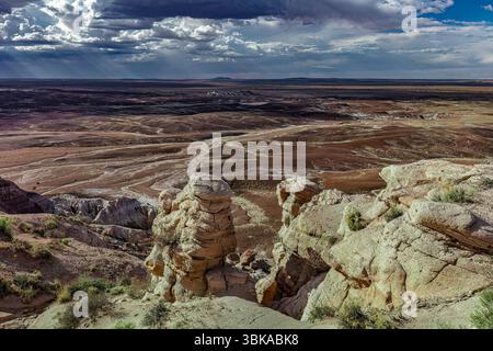Le désert peint, Parc national de la Forêt pétrifiée, Arizona Banque D'Images