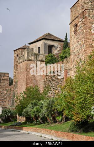 Alcazaba de Málaga, Mont Gibralfaro Malaga, Espagne avril Banque D'Images