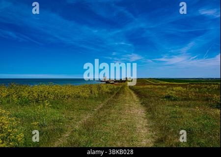 Oyster Bay Trail dans la section Reculver Country Park dans une belle journée de printemps Banque D'Images