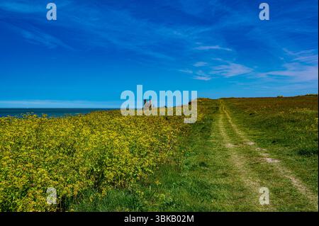 Oyster Bay Trail dans la section Reculver Country Park dans une belle journée de printemps Banque D'Images