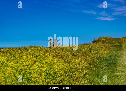 Oyster Bay Trail dans la section Reculver Country Park dans une belle journée de printemps Banque D'Images