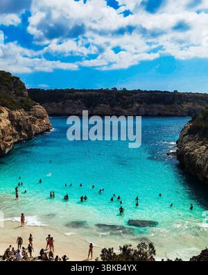 Vue aérienne, crique turquoise, falaises de pins — superbe vue aérienne de Caló des Moro, Majorque, où les eaux turquoises rencontrent des falaises rocheuses et des pins. Un Medi Banque D'Images