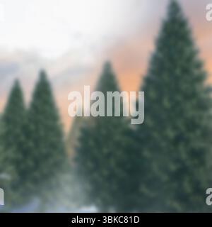 La scène forestière plate présente un grand arbre à feuilles persistantes saupoudré de neige sur la droite au milieu de l'aube brumeuse Banque D'Images