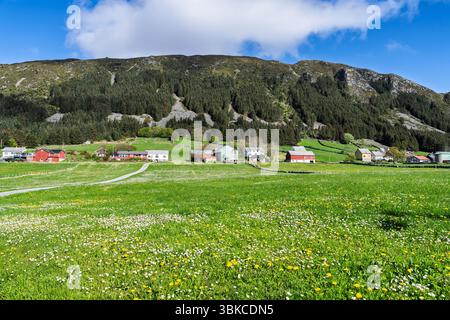 Paysage rural lumineux et serein avec de l'herbe luxuriante, des fleurs vibrantes, des maisons confortables et des collines boisées sous un ciel bleu paisible, Runde, Norvège Banque D'Images