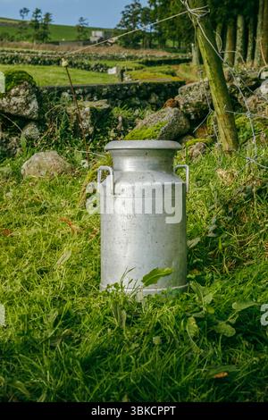 Churn de lait traditionnel en aluminium debout dans l'herbe verte luxuriante près d'un mur de pierre. Cadre rural, vie agricole, industrie laitière, conteneur vintage, agricultura Banque D'Images