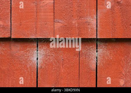 Gros plan de planches de bois rouges montrant des signes d'altération des intempéries et de toiles d'araignée, capturant le charme des environnements extérieurs rustiques. Banque D'Images
