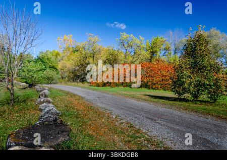 Route rurale de gravier bordée de rochers à côté des arbres d'automne sous un ciel bleu Banque D'Images