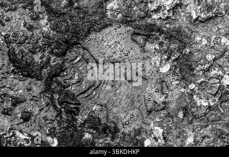 Une petite flaque ou tourbillon sur le rivage du lagon indien Banque D'Images