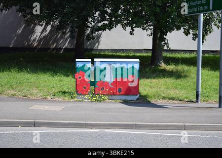 Armoires de commutation télécom peintes Banque D'Images