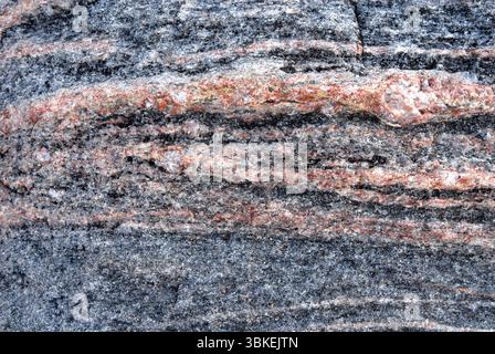 Gros plan d'une texture rocheuse de gneiss avec des bandes roses, grises et noires Banque D'Images