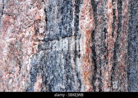 Gros plan d'une texture rocheuse de gneiss avec des bandes roses, grises et noires Banque D'Images