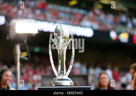 Aviva Stadium, Dublin, Irlande. 20 juin 2025. Six Nations International Rugby, Lions britanniques et irlandais contre Argentine ; trophée de la Coupe Lions exposé avant le coup d'envoi crédit : action plus Sports/Alamy Live News Banque D'Images