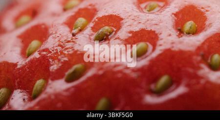 Gros plan macro extrêmement détaillé de fraise rouge texturée avec des graines clairement visibles Banque D'Images
