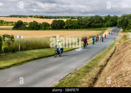 Un groupe de cyclistes parcourt la route cyclable de longue distance La Flow Vélo à travers le paysage pittoresque de la région de Cognac dans l'ouest de la France. Le guide Katell Nicoux mène le groupe dans un gilet haute visibilité et un casque vert. La route étroite passe entre des champs de maïs près de Saintes, près de la Charente. L'itinéraire traverse principalement un terrain légèrement vallonné à plat. La Flow Vélo s'étend sur environ 400 kilomètres de Sarlat-la-Canéda dans le Périgord jusqu'à l'Île d'Aix au large des côtes atlantiques. Le groupe est en visite guidée à vélo par Die Landpartie le long de la Charente. Route de Saint-Thomas, Nouvelle Banque D'Images