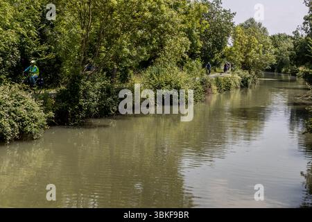 La route cyclable de longue distance FlowVélo (La Flow Vélo) longe sur de longues stretches la rivière Charente dans la région Nouvelle-Aquitaine. Les participants à la visite guidée à vélo par Die Landpartie roulent le long d'un chemin de rive à côté de l'eau (peut-être un canal parallèle à la Charente), avec la guide touristique Katell Nicoux portant un gilet de haute visibilité en avant à gauche. Des arbres et des roseaux bordent la rive, et l'eau reflète le ciel et le feuillage. Rue de la Rivière, La Vallée, France. La route s'étend sur environ 400 kilomètres de Sarlat-la-Canéda dans le Périgord à l'Île d'Aix. Banque D'Images