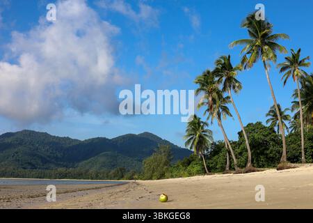 Plage de sable avec des palmiers de cocotiers, vue sur l'île tropicale dans la mer d'Andaman. Fond pour voyager et se détendre sur la nature paradisiaque Banque D'Images