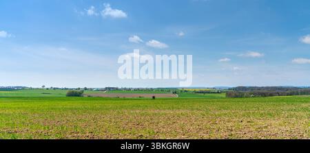 Paysage rural panoramique à Hohenlohe, une région du sud de l'Allemagne au printemps Banque D'Images