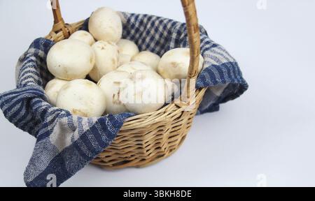 Champignons Champignon dans un panier sur fond blanc Banque D'Images