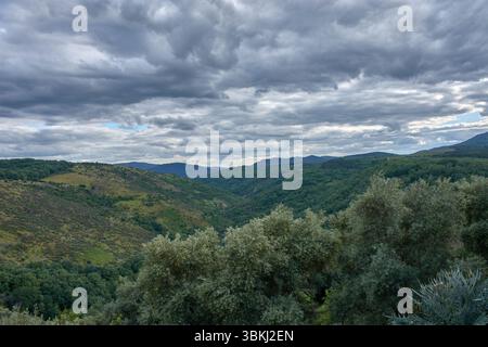 Une vaste vue panoramique sur la Sierra de Francia, caractérisée par ses multiples couches de collines couvertes de végétation dense et de forêts. Banque D'Images