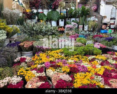 Stand de fleurs, Mercado Jamaica, l'un des marchés publics traditionnels de Mexico. CDMX, Mexique Banque D'Images