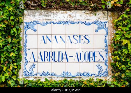 Panneau de plantation d'ananas Augusto Arruda, Ponta Delgada, île de São Miguel, archipel des Açores, Portugal Banque D'Images