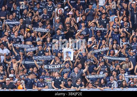 Belem, Brésil. 21 juin 2025. PA - BELEM - 06/21/2025 - B BRÉSILIEN 2025, Remo x PAYSANDU - Remo fans lors du match contre Paysandu au stade de Mangueirao pour le championnat brésilien B 2025. Photo : Fernando Torres/AGIF (photo de Fernando Torres/AGIF/SIPA USA) crédit : Sipa USA/Alamy Live News Banque D'Images