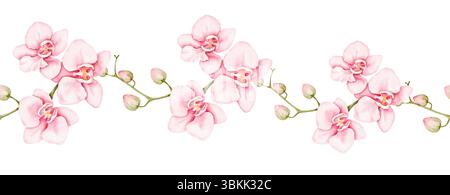 Bordure sans couture florale aquarelle avec orchidées roses délicates. Design doux peint à la main parfait pour les projets de printemps, l'emballage, la papeterie de mariage et Banque D'Images