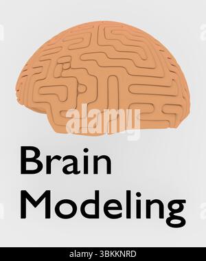 Illustration 3D d'un cerveau humain, intitulée Brain Modeling. Banque D'Images
