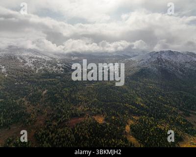 Une vue aérienne met en valeur une vaste forêt en transition vers des montagnes enneigées, le tout sous un ciel spectaculaire et nuageux Banque D'Images