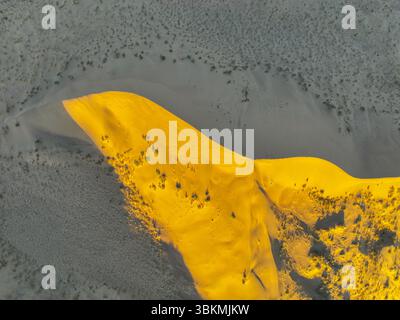 Une vue aérienne de haut en bas met en valeur les courbes dorées et les textures du Singing Barkhan, une grande dune de sable, sous la lumière du soleil Banque D'Images