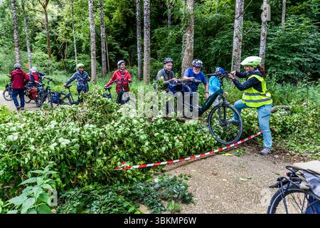 Groupe cycliste de Die Landpartie sur la route de Charente. Malgré une planification minutieuse, il y a toujours des circonstances imprévues, comme un arbre tombé sur la piste cyclable, qui est surmonté ensemble. Les cyclistes sont bloqués sur leur chemin à travers un chemin forestier par un obstacle fait de branches et de feuilles. Ils essaient de surmonter la barrière avec leurs vélos pour continuer leur voyage. Bourg-Charente, Nouvelle-Aquitaine, France Banque D'Images