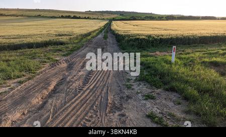 Un sentier de terre rustique serpente à travers Golden Fields sous un vaste ciel bleu clair au-dessus Banque D'Images